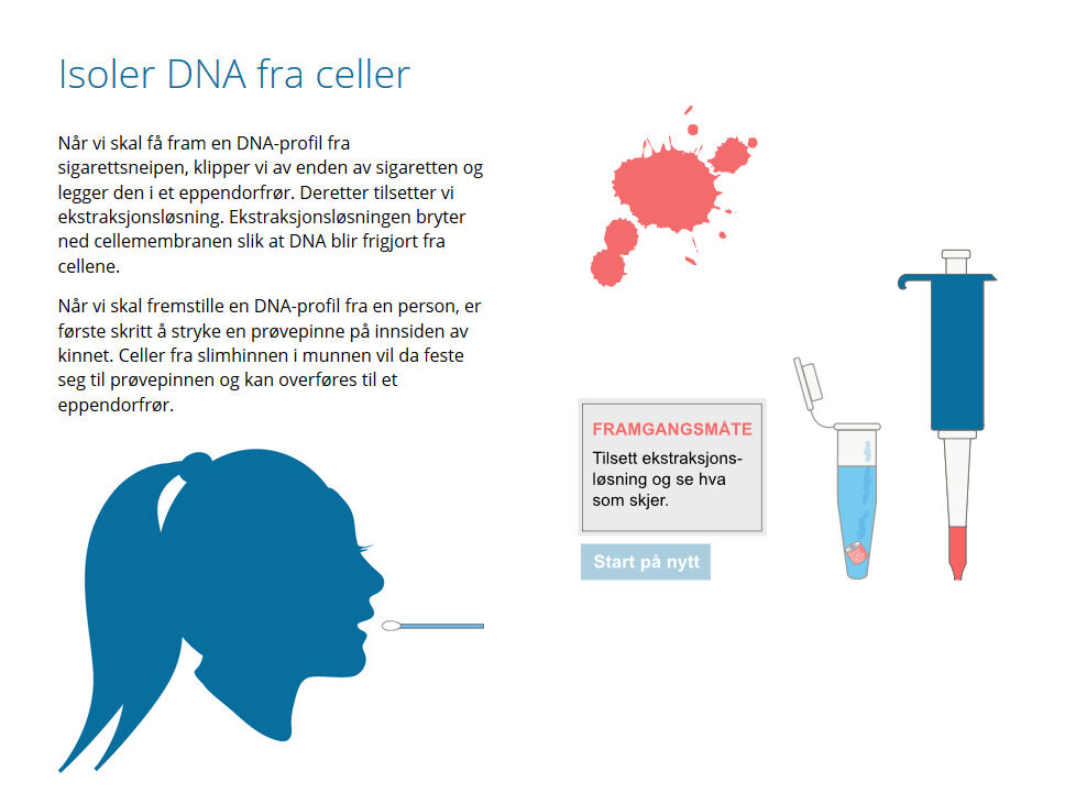 Elevene får blant annet en innføring i hvordan DNA isoleres fra celler.