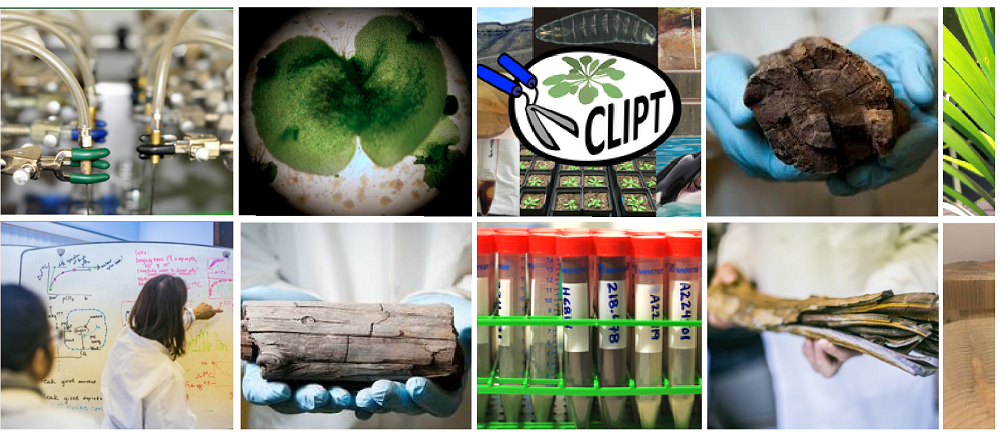 CLIPT-lab: Noen glimt fra arbeidet i laboratoriet og prøvene som analyseres. Foto/collage: CLIPT / GKT