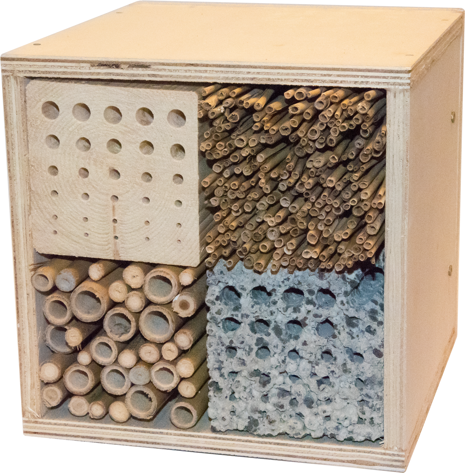 modul i insekthotellet