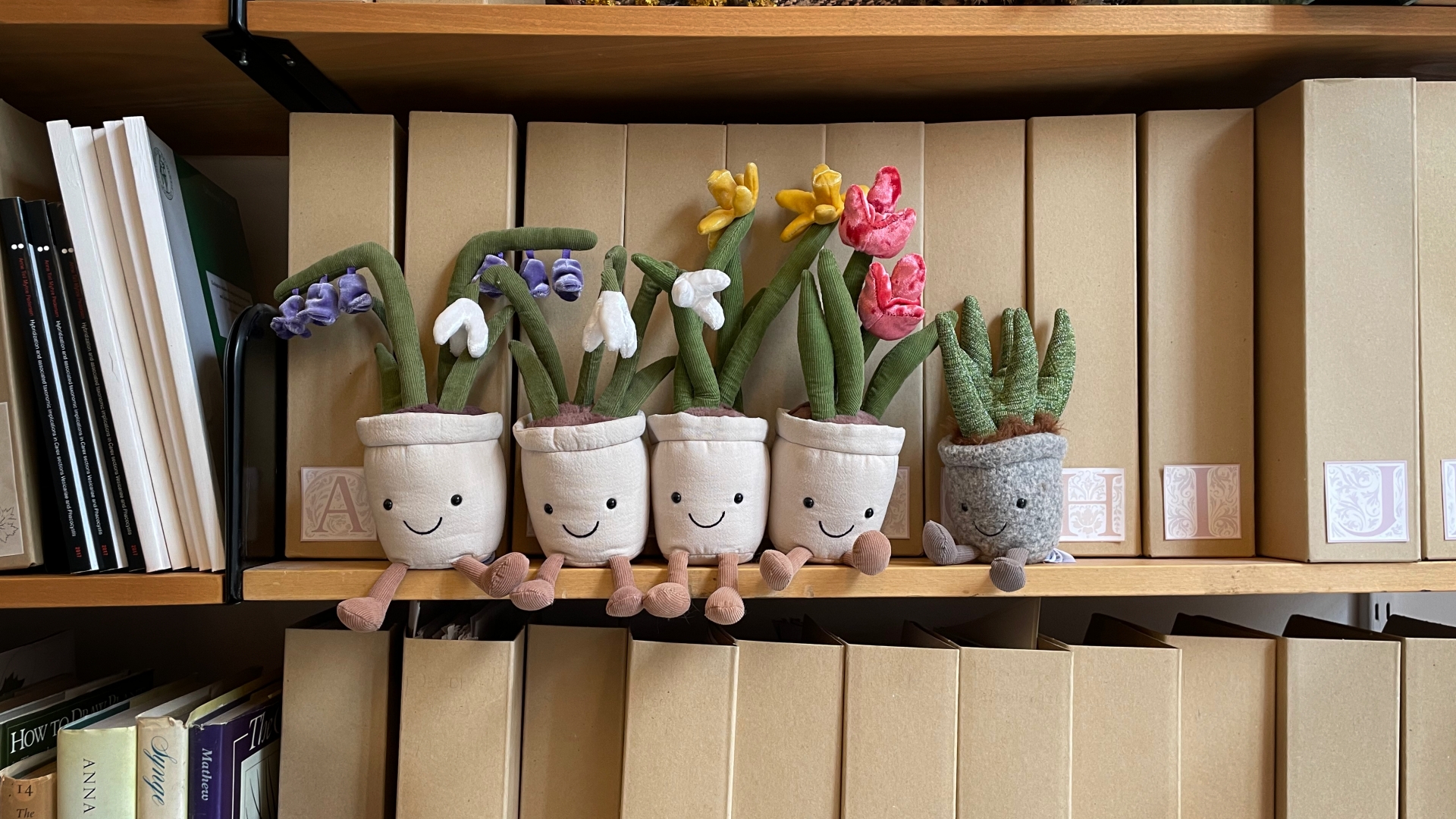 atlernative sydde vårblomster