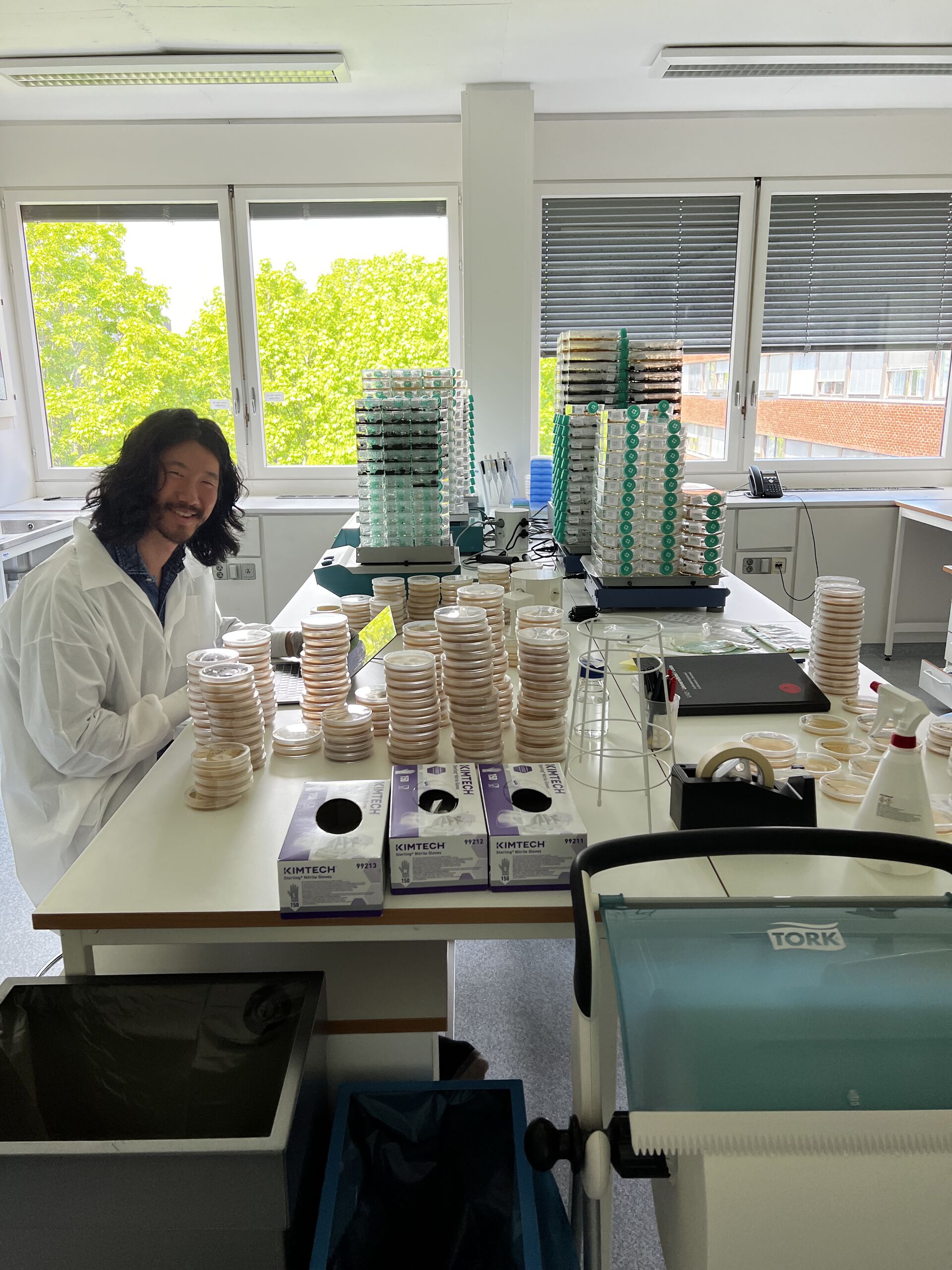 Dabao på lab