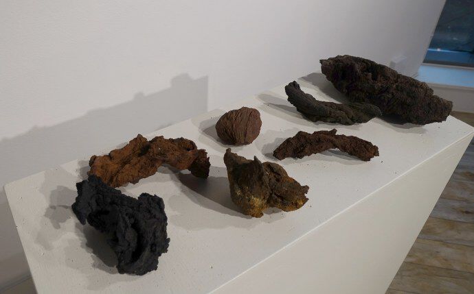 Island, året var 1783: Et enormt utbrudd på Laki førte til den største naturkatastrofen i Islands historie. På Svensens utstilling i Asker kunne man se størknede fragmenter fra utbruddet. Foto: Gunn Kristin Tjoflot/UiO