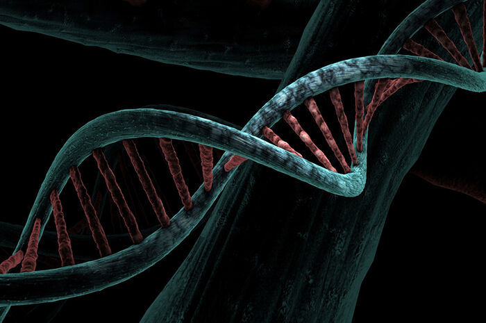 Illustrasjon av DNA-molekyl