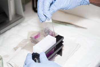 laboratorieutstyr ,medisinsk hanske ,laboratorium ,plast ,sikkerhetshanske.
