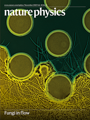 forsiden av nature physics