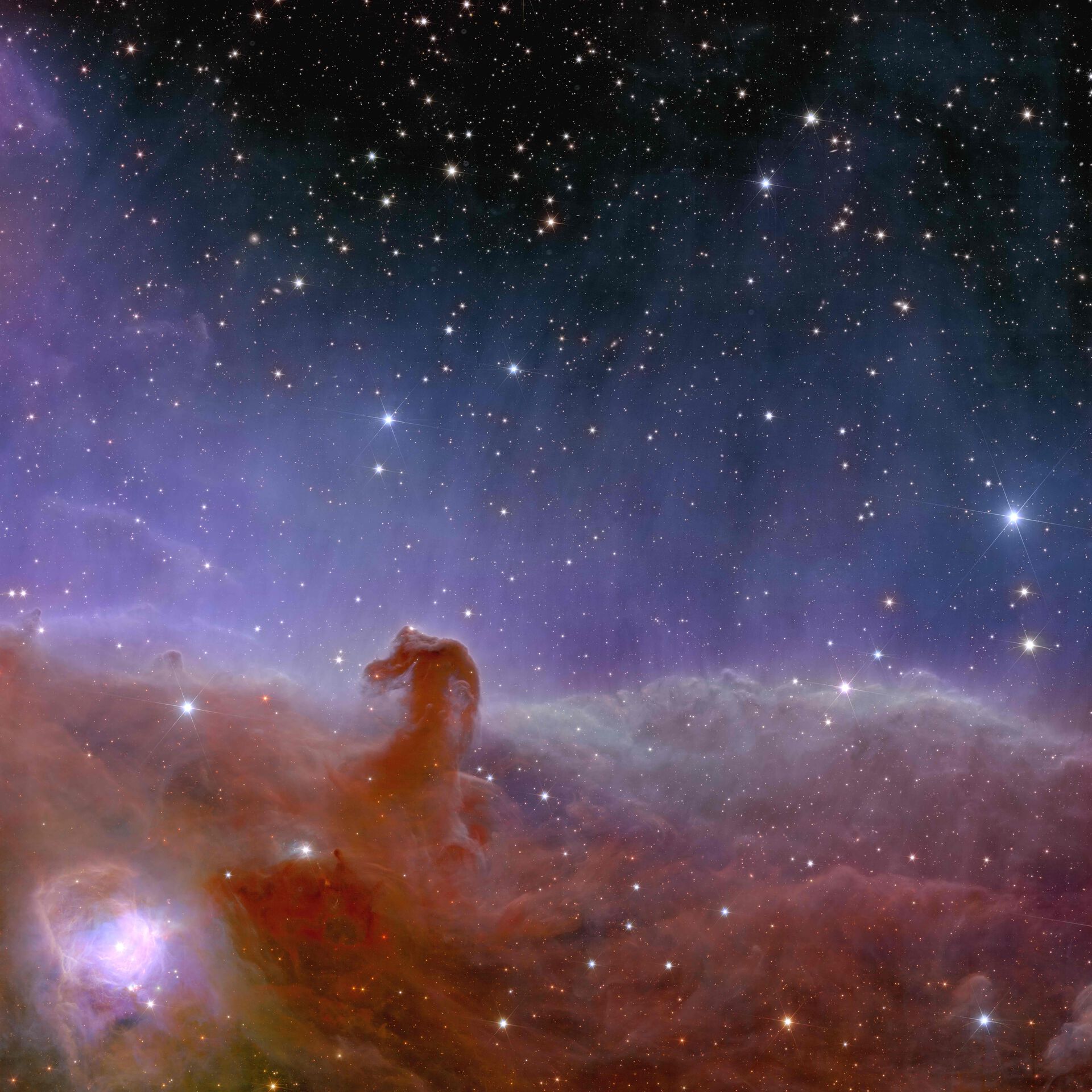Euclid horsehead