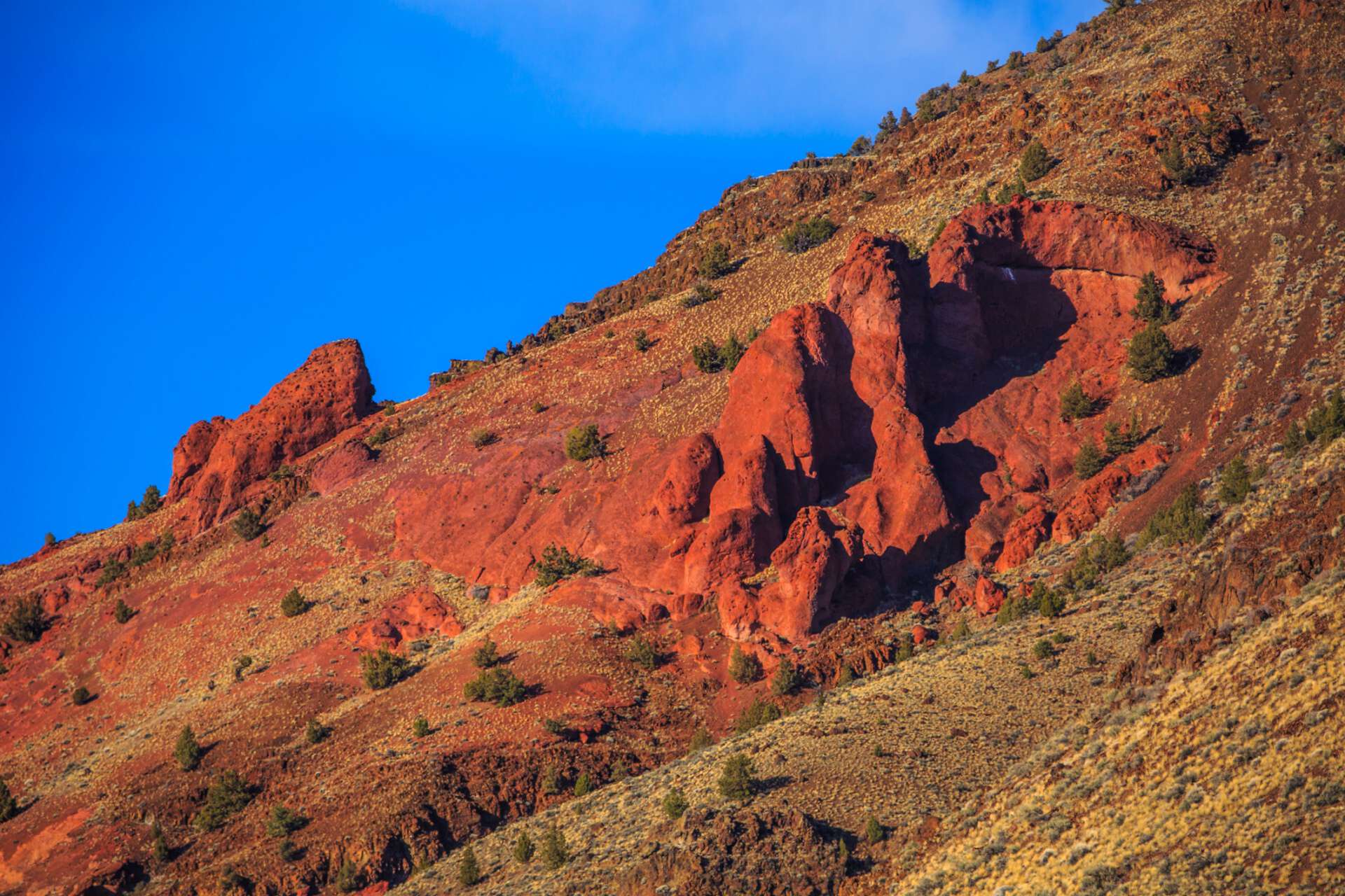 Hart mountain I Oregon