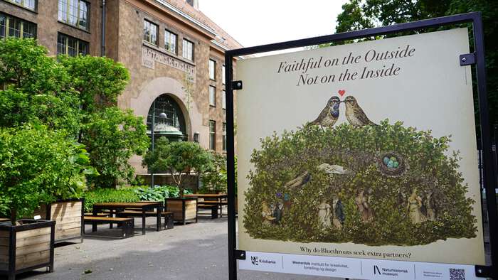 Kunstplakat av forskning på blåstrupe foran Lids hus i Botanisk Hage